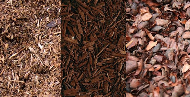 The Benefits of Mulch