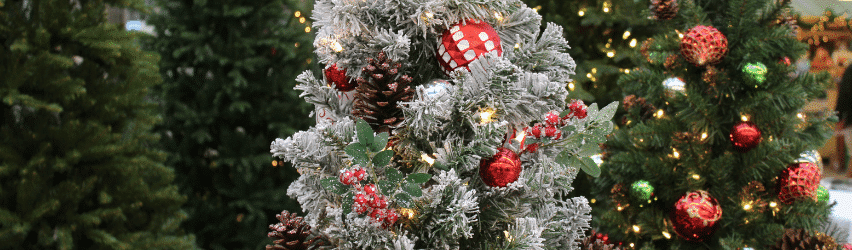 Christmas Clean-up